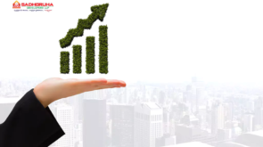 Real Estate Growth